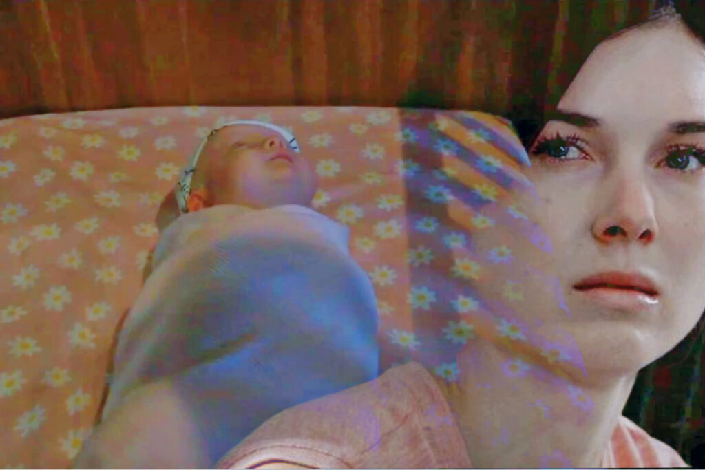 Willow Stalks Sasha’s Baby Daisy